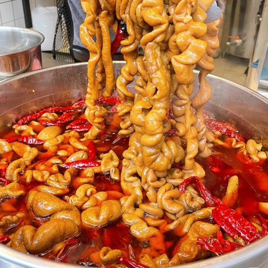 网红小吃现捞肥肠技术小吃配方教程特色香辣卤大肠现捞卤肉卤菜资料小吃教学摆摊创业商用-破浪小吃技术网